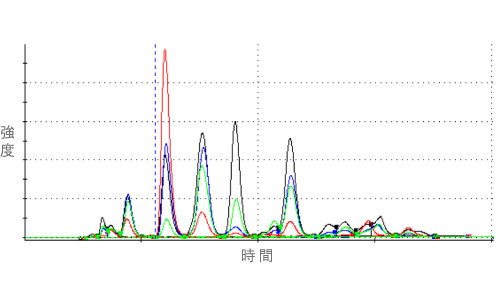 香りの分析結果